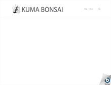 Tablet Screenshot of kumabonsai.com
